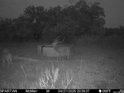 Tbd Ranch To Market Road 473 Comfort TX 78013