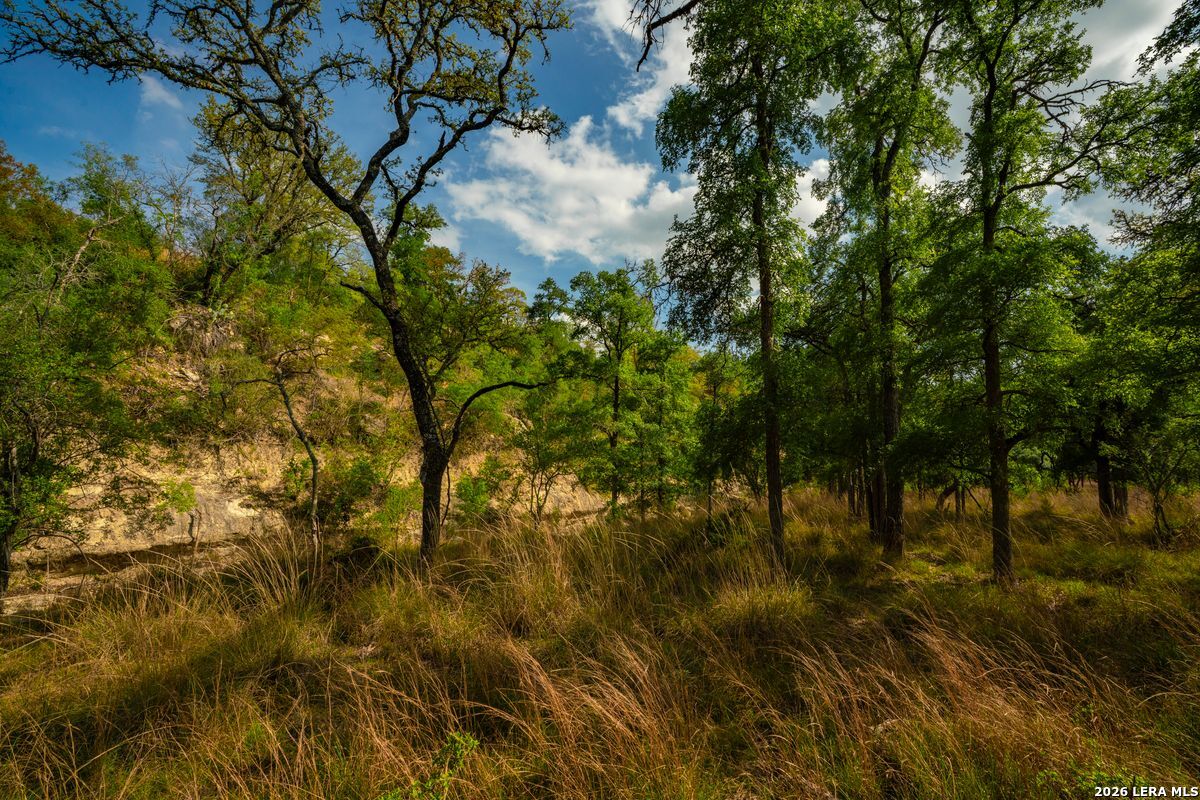 Tbd Ranch To Market Road 473 Comfort TX 78013