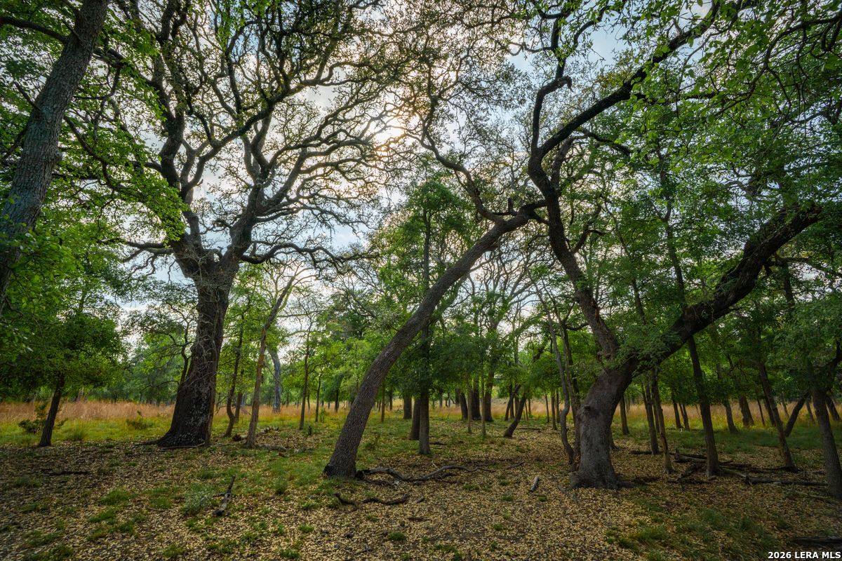 Tbd Ranch To Market Road 473 Comfort TX 78013