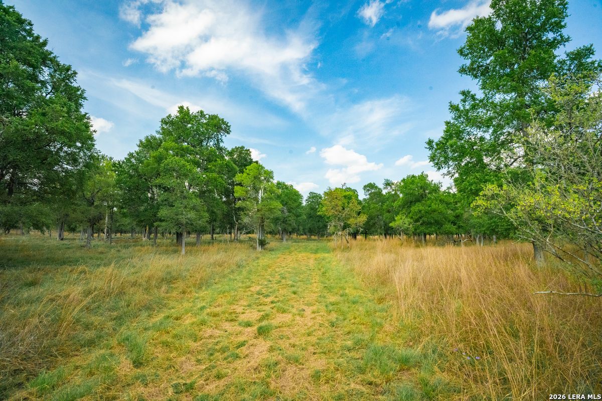 Tbd Ranch To Market Road 473 Comfort TX 78013