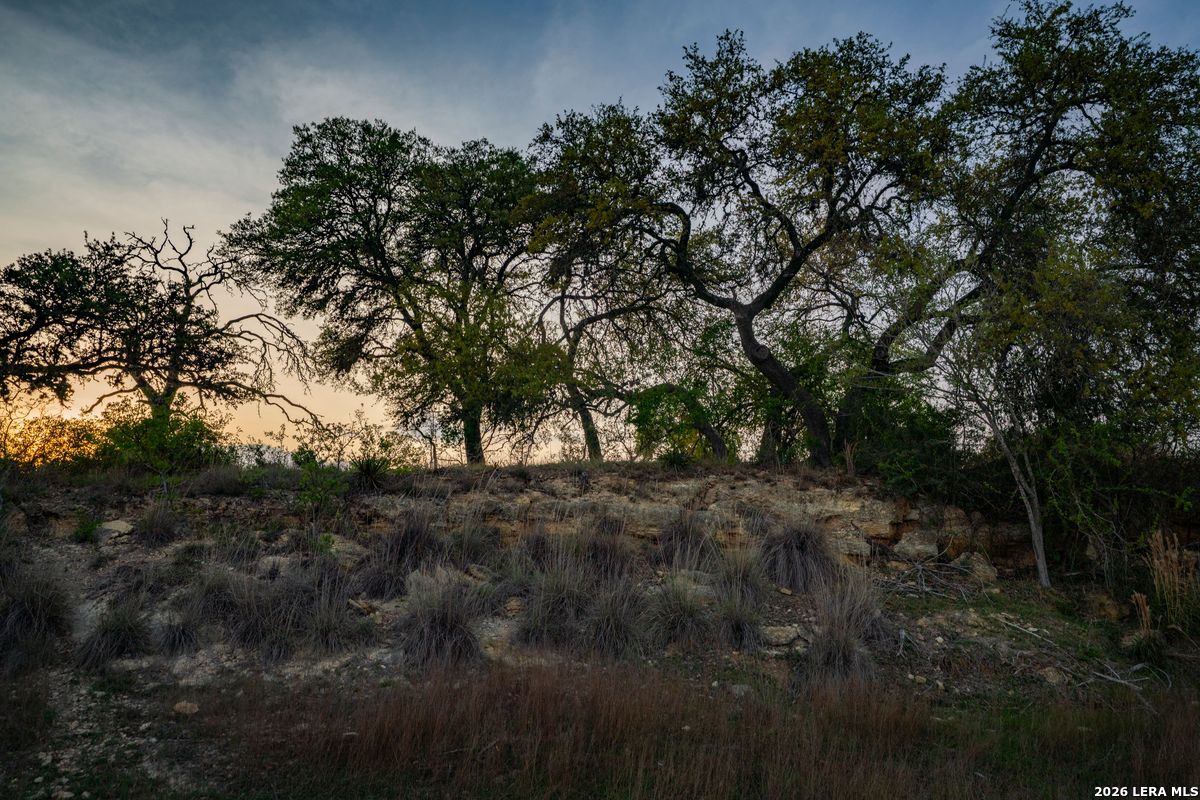 Tbd Ranch To Market Road 473 Comfort TX 78013