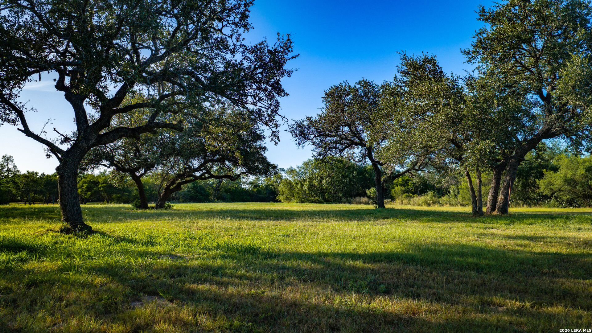 1703 Fm 885 Runge TX 78151