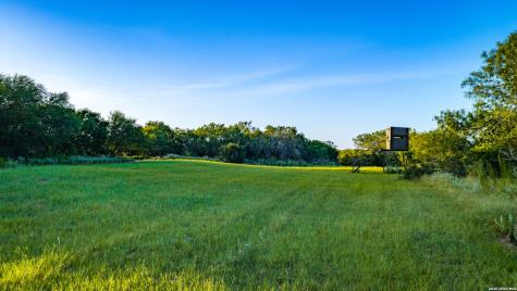 1703 Fm 885 Runge TX 78151