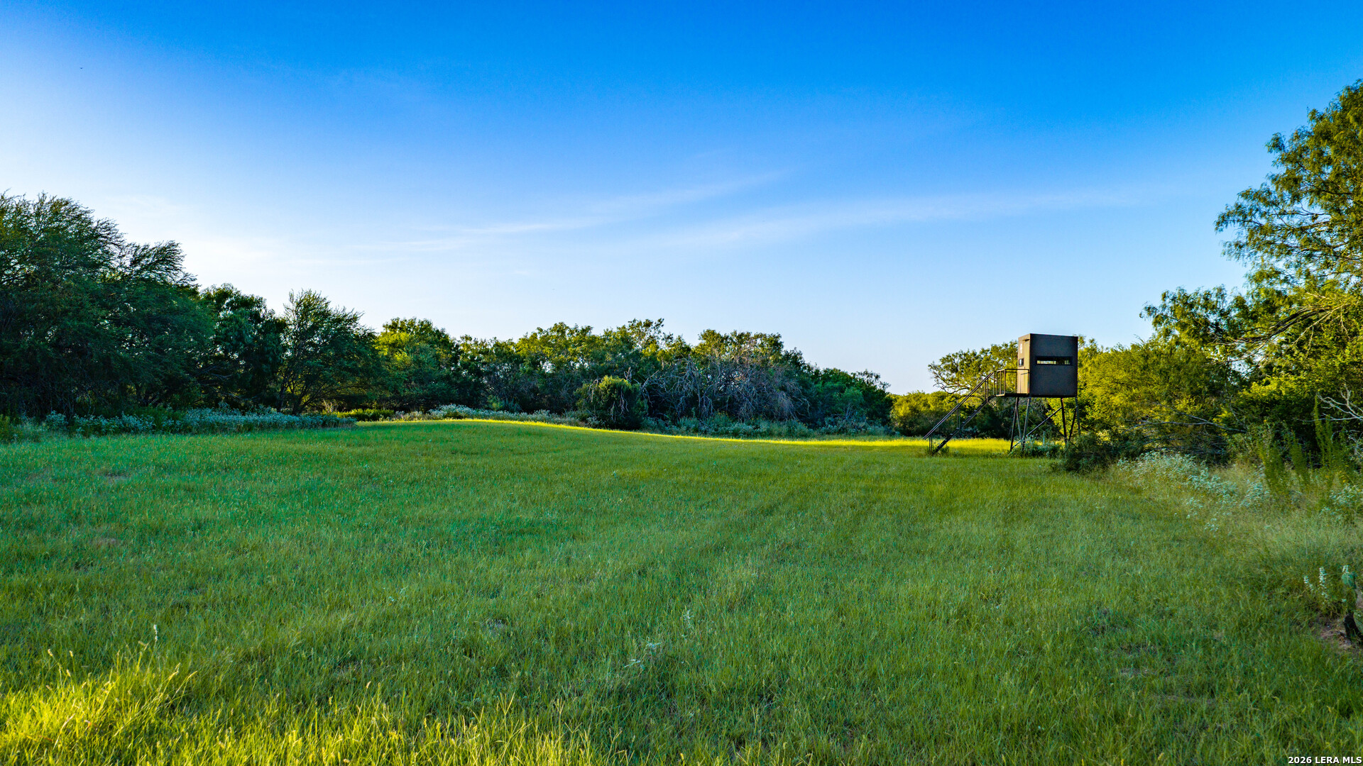 1703 Fm 885 Runge TX 78151