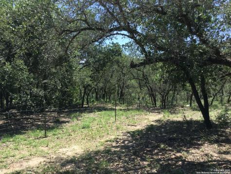 3110 County Road 7711 Natalia TX 78059