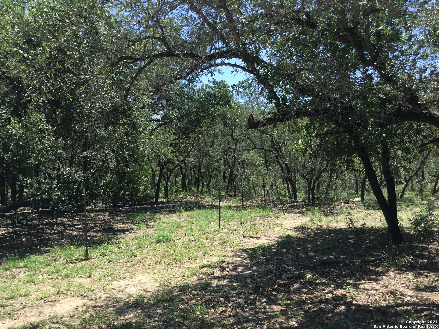 3110 County Road 7711 Natalia TX 78059