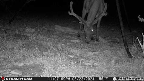 14832 Texas Highway 41 Rocksprings TX 78880