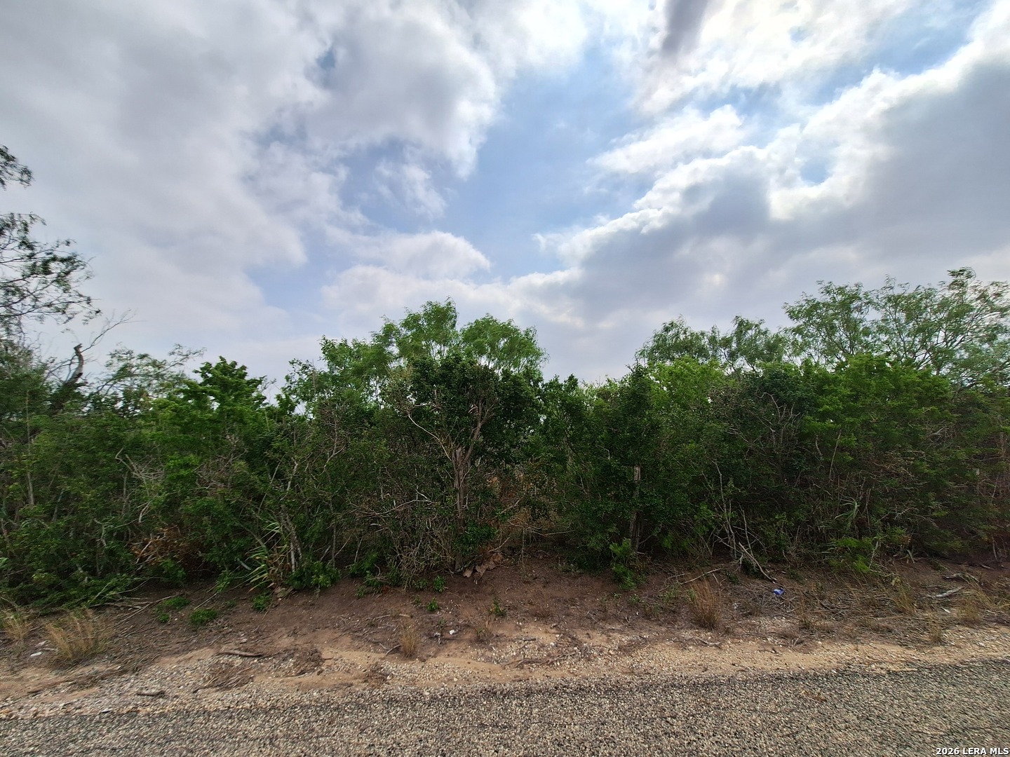 0 Cr 148 Kenedy TX 78119