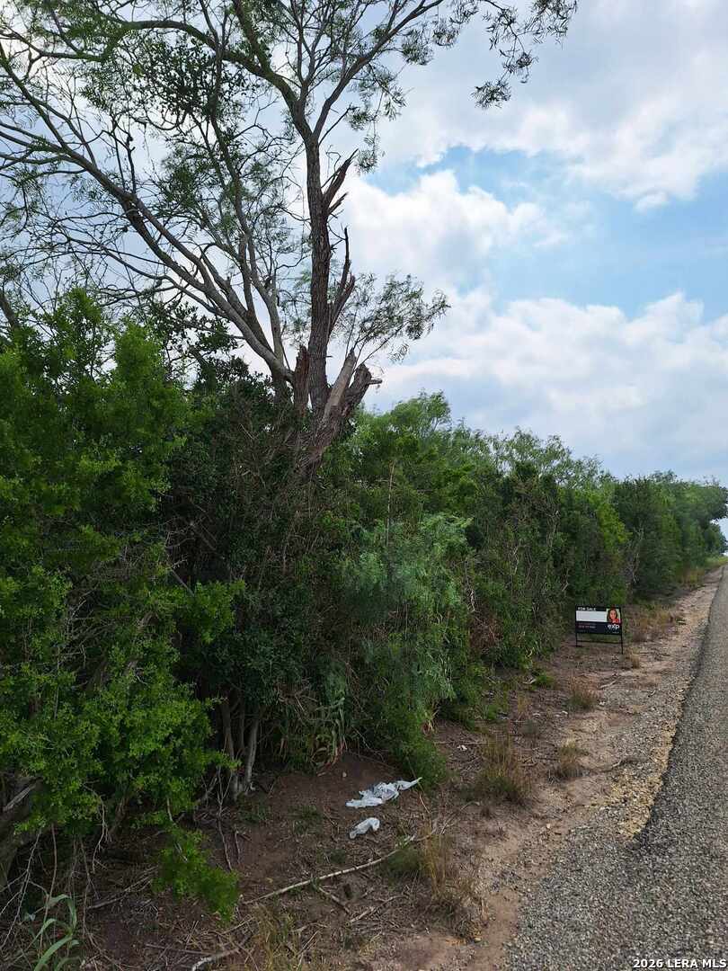 0 Cr 148 Kenedy TX 78119