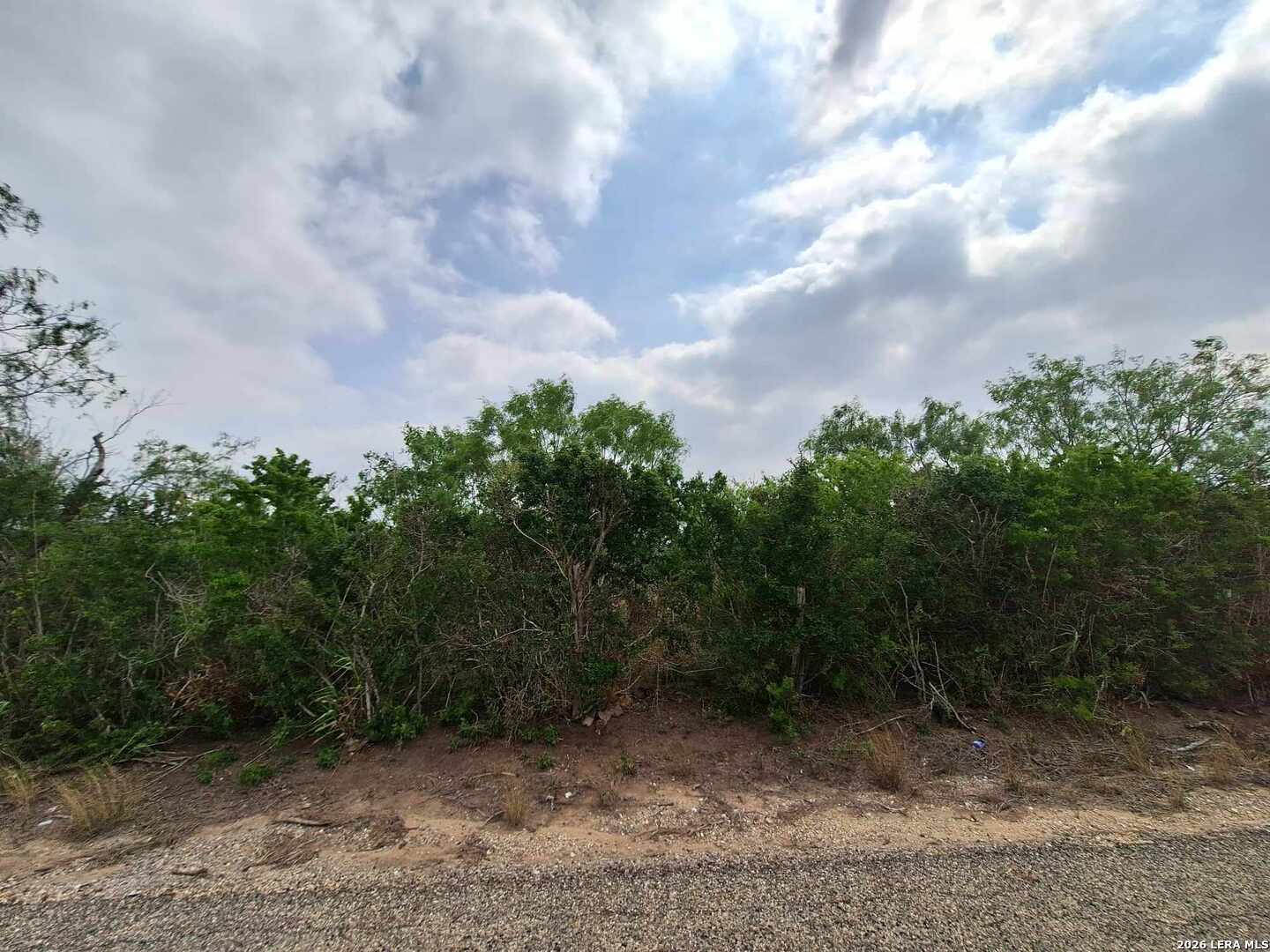 0 Cr 148 Kenedy TX 78119
