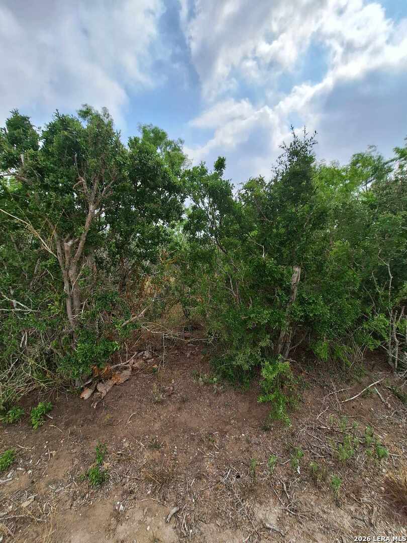 0 Cr 148 Kenedy TX 78119
