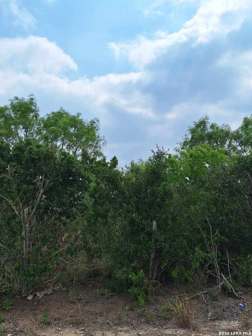 0 Cr 148 Kenedy TX 78119