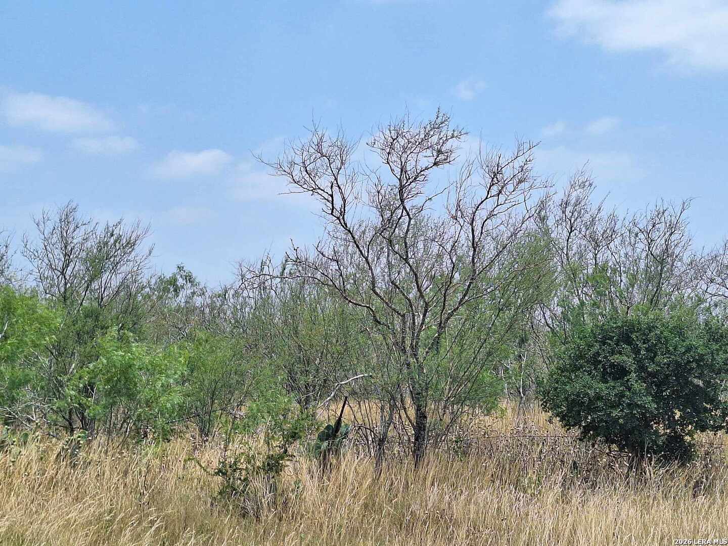0 Cr 148 Kenedy TX 78119