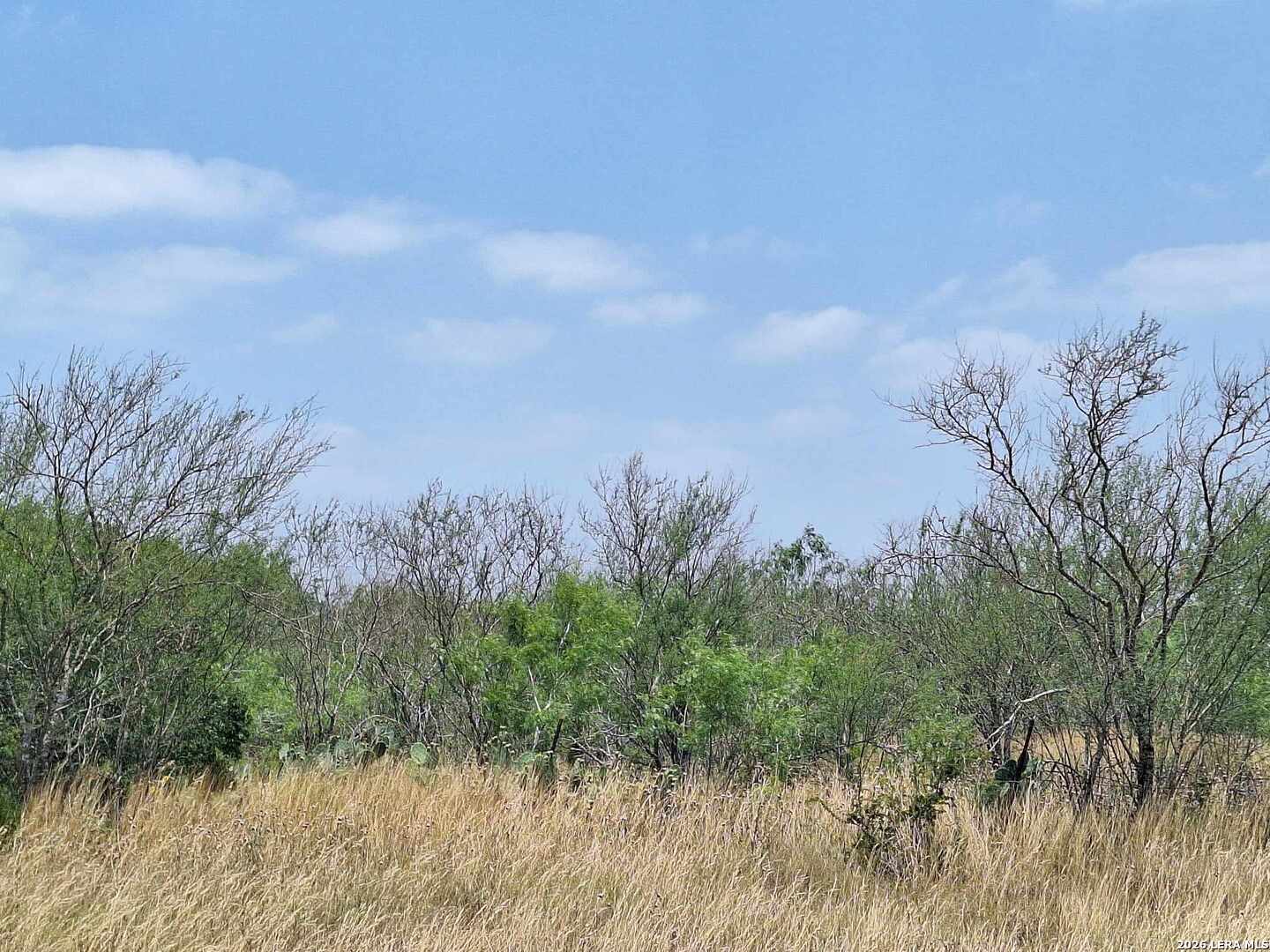 0 Cr 148 Kenedy TX 78119