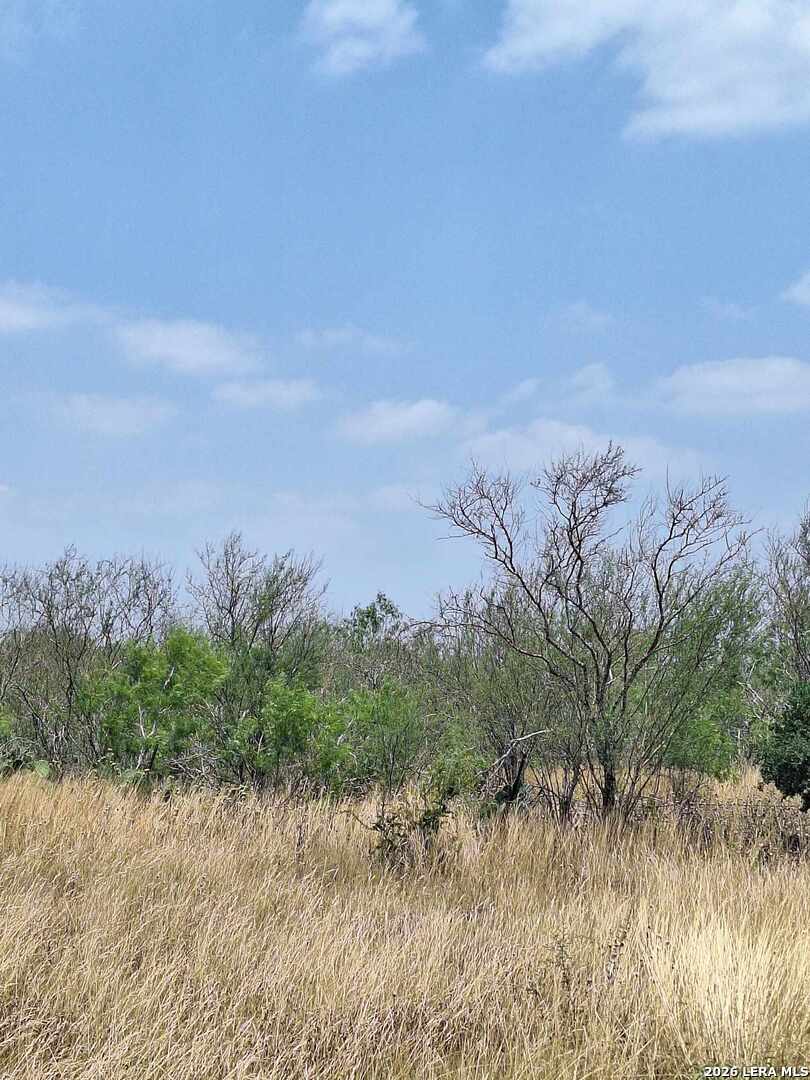 0 Cr 148 Kenedy TX 78119