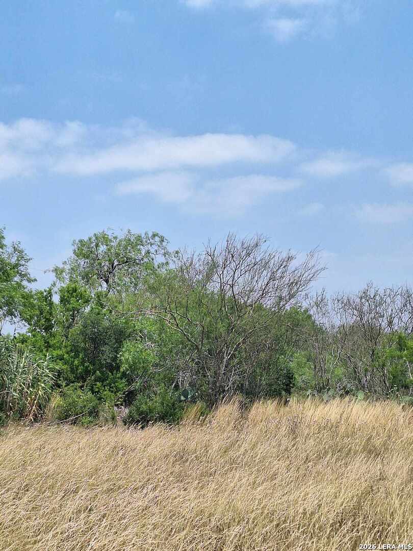 0 Cr 148 Kenedy TX 78119