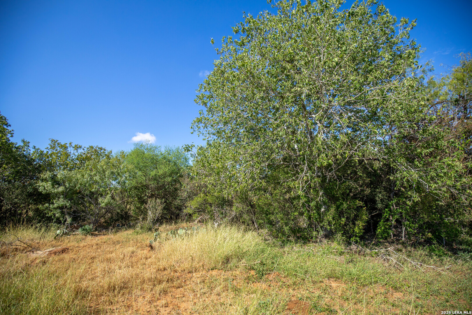 560 Pr Goose Creek Jourdanton TX 78026