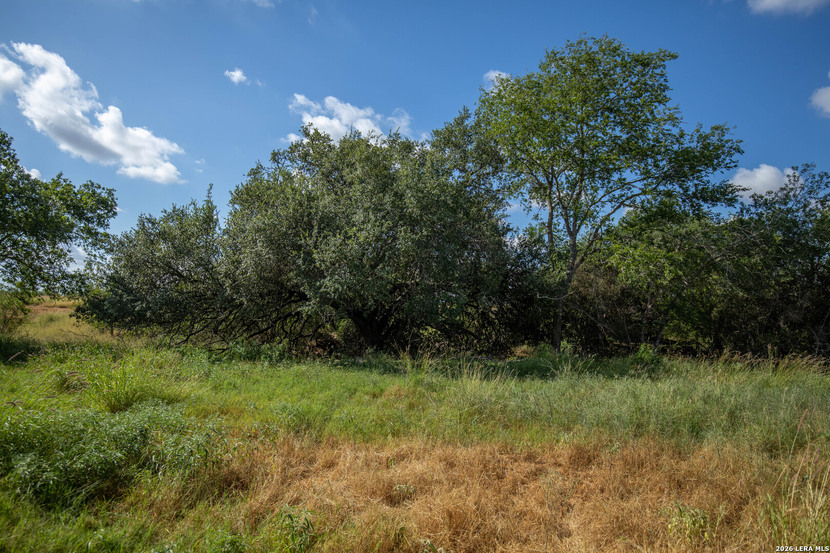 560 Pr Goose Creek Jourdanton TX 78026