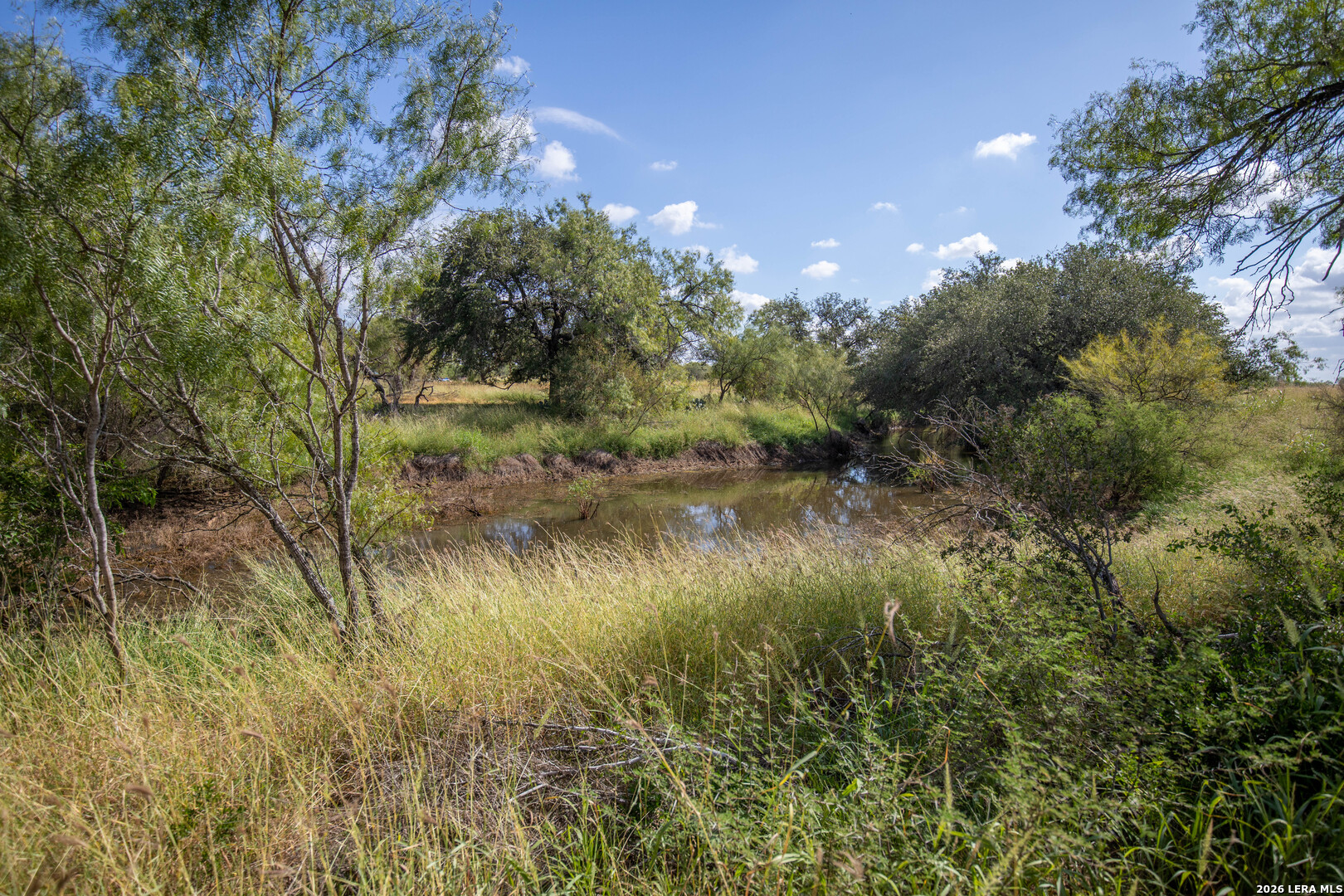 560 Pr Goose Creek Jourdanton TX 78026