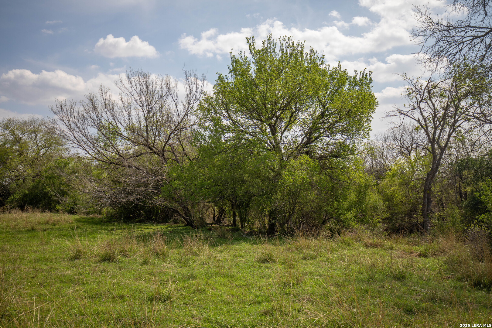 560 Pr Goose Creek Jourdanton TX 78026