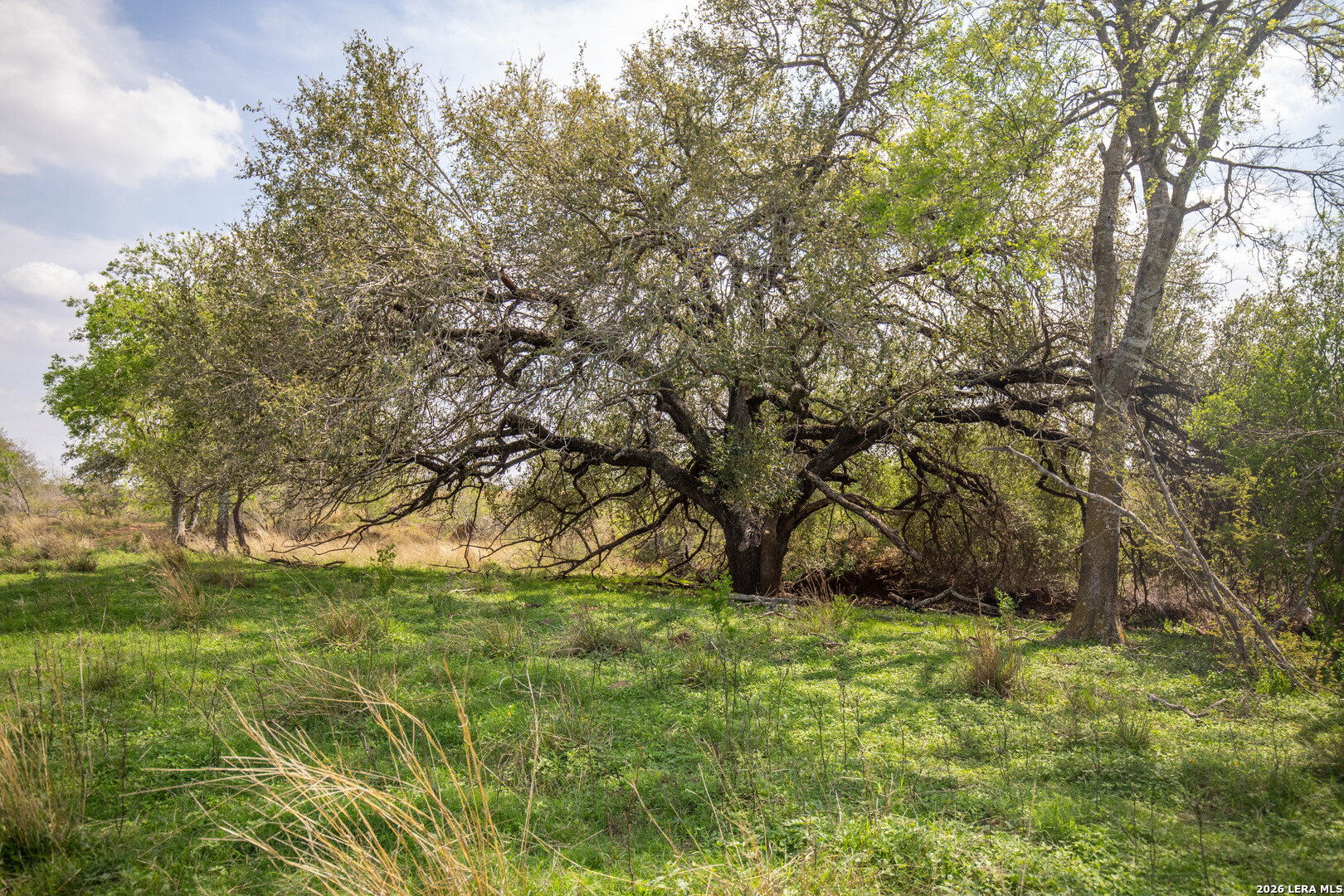 560 Pr Goose Creek Jourdanton TX 78026