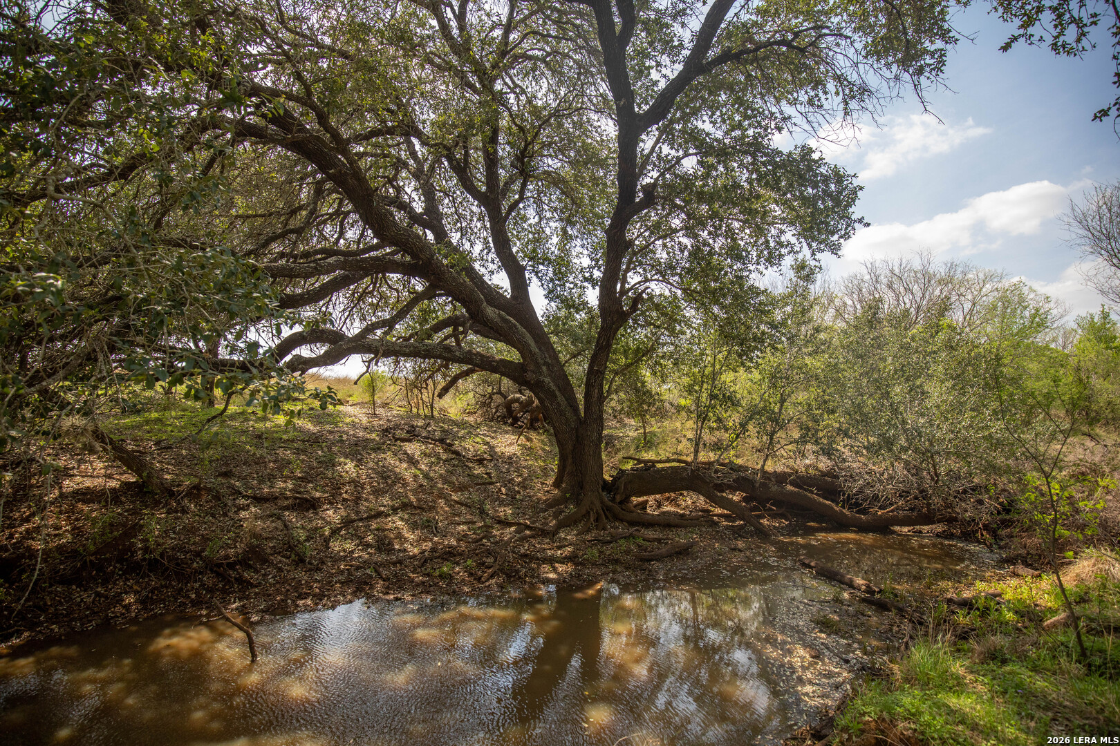 560 Pr Goose Creek Jourdanton TX 78026