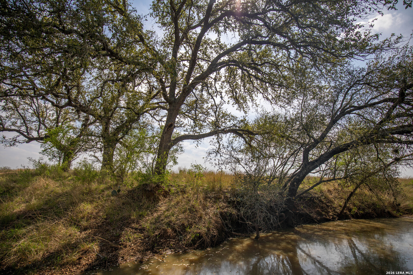 560 Pr Goose Creek Jourdanton TX 78026