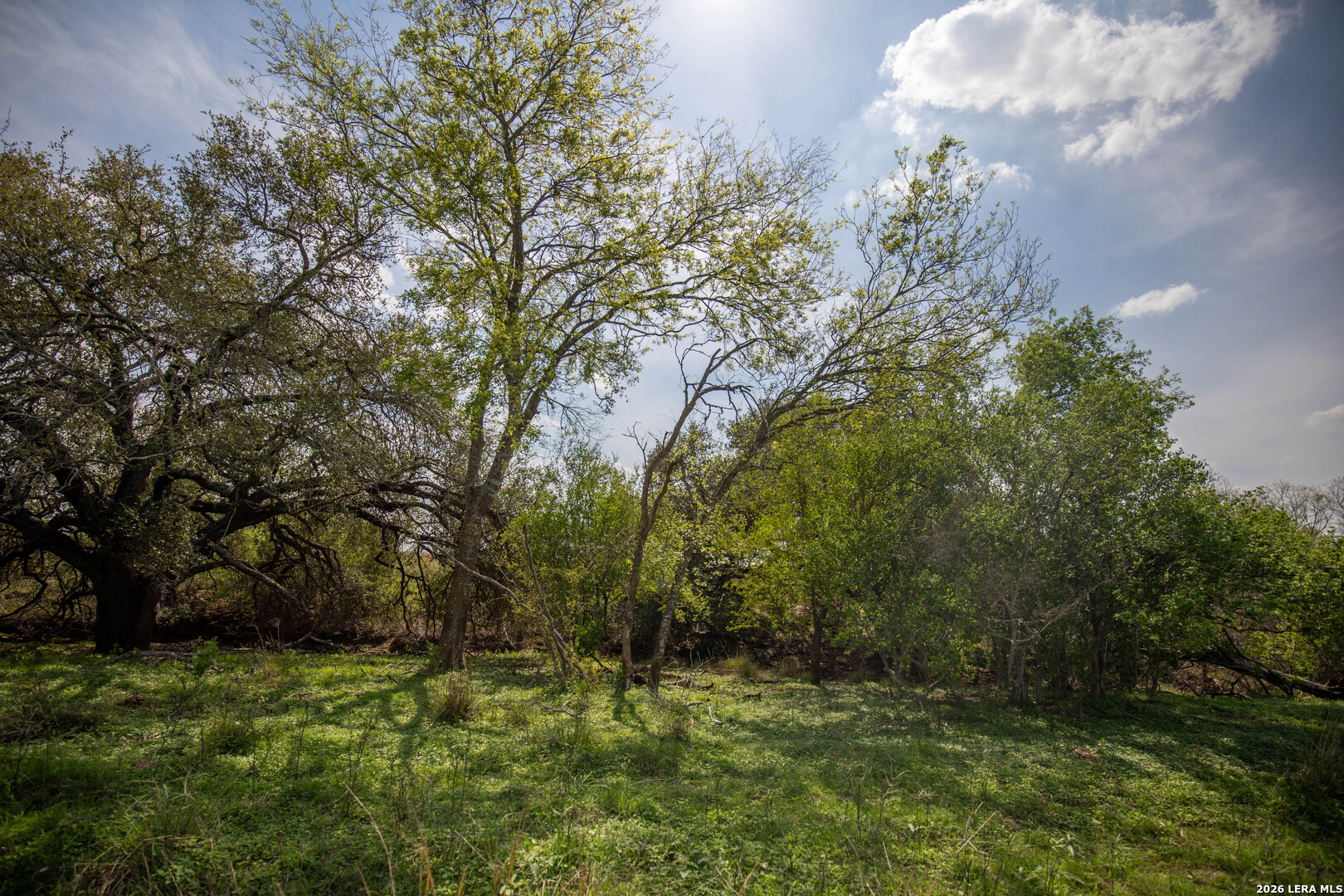 560 Pr Goose Creek Jourdanton TX 78026
