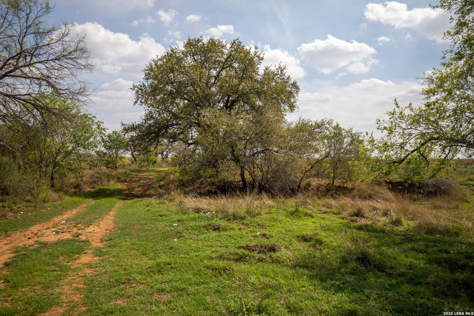 560 Pr Goose Creek Jourdanton TX 78026