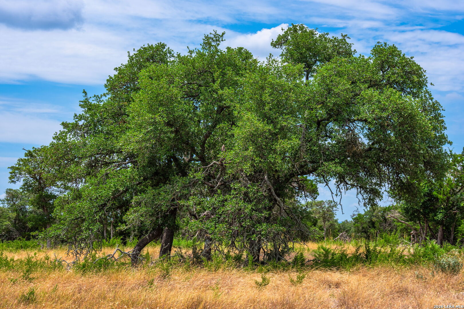 1468 Vanguard Ridge Road Kerrville TX 78028