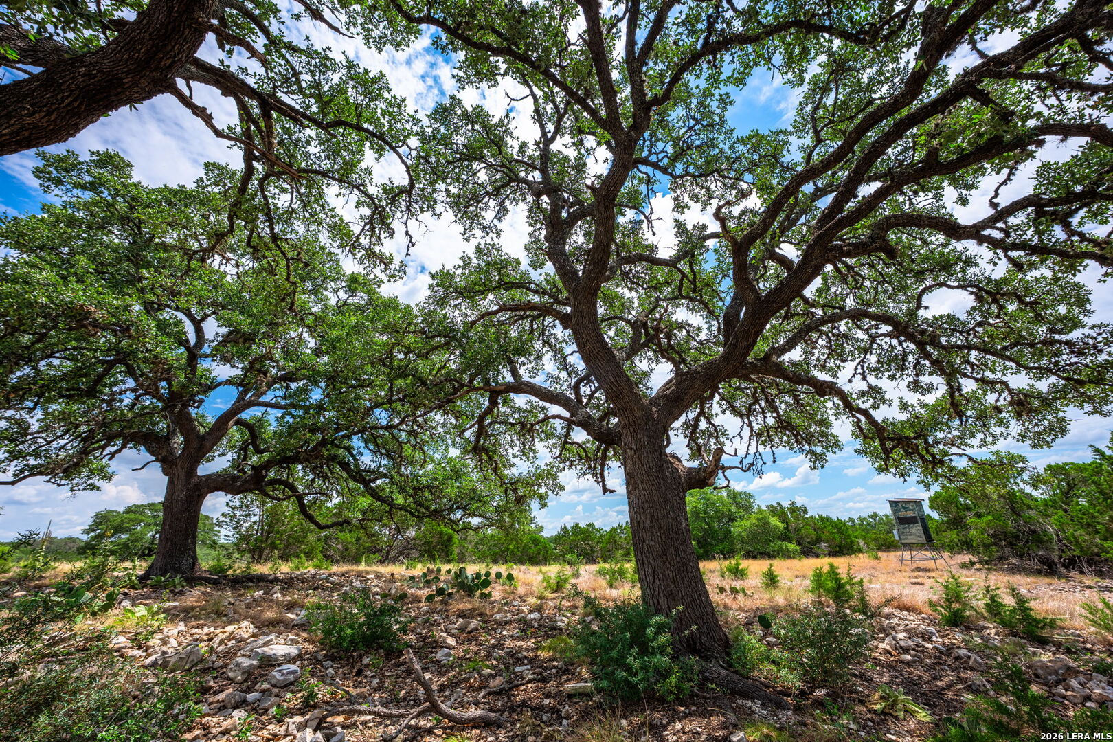 1468 Vanguard Ridge Road Kerrville TX 78028