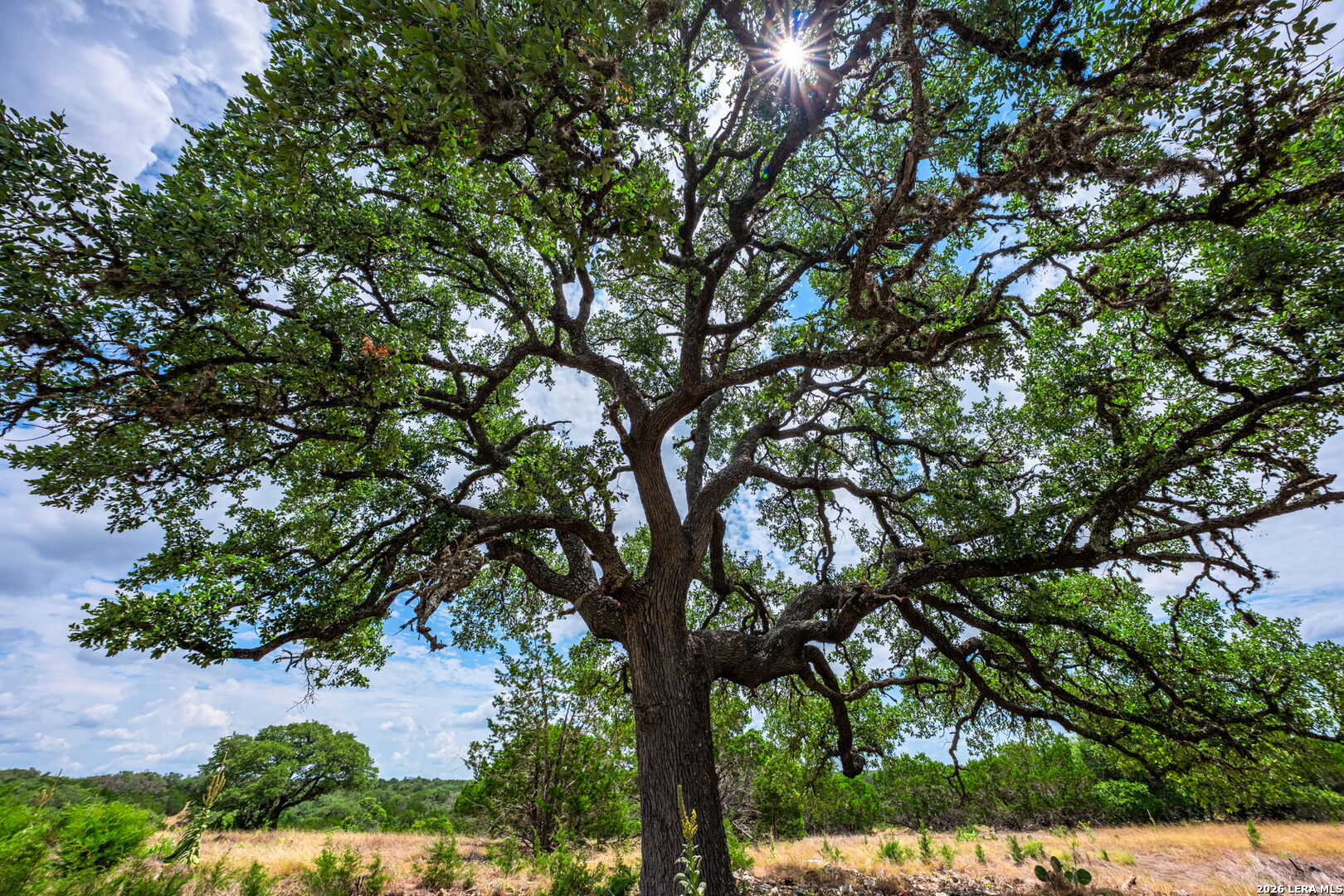 1468 Vanguard Ridge Road Kerrville TX 78028