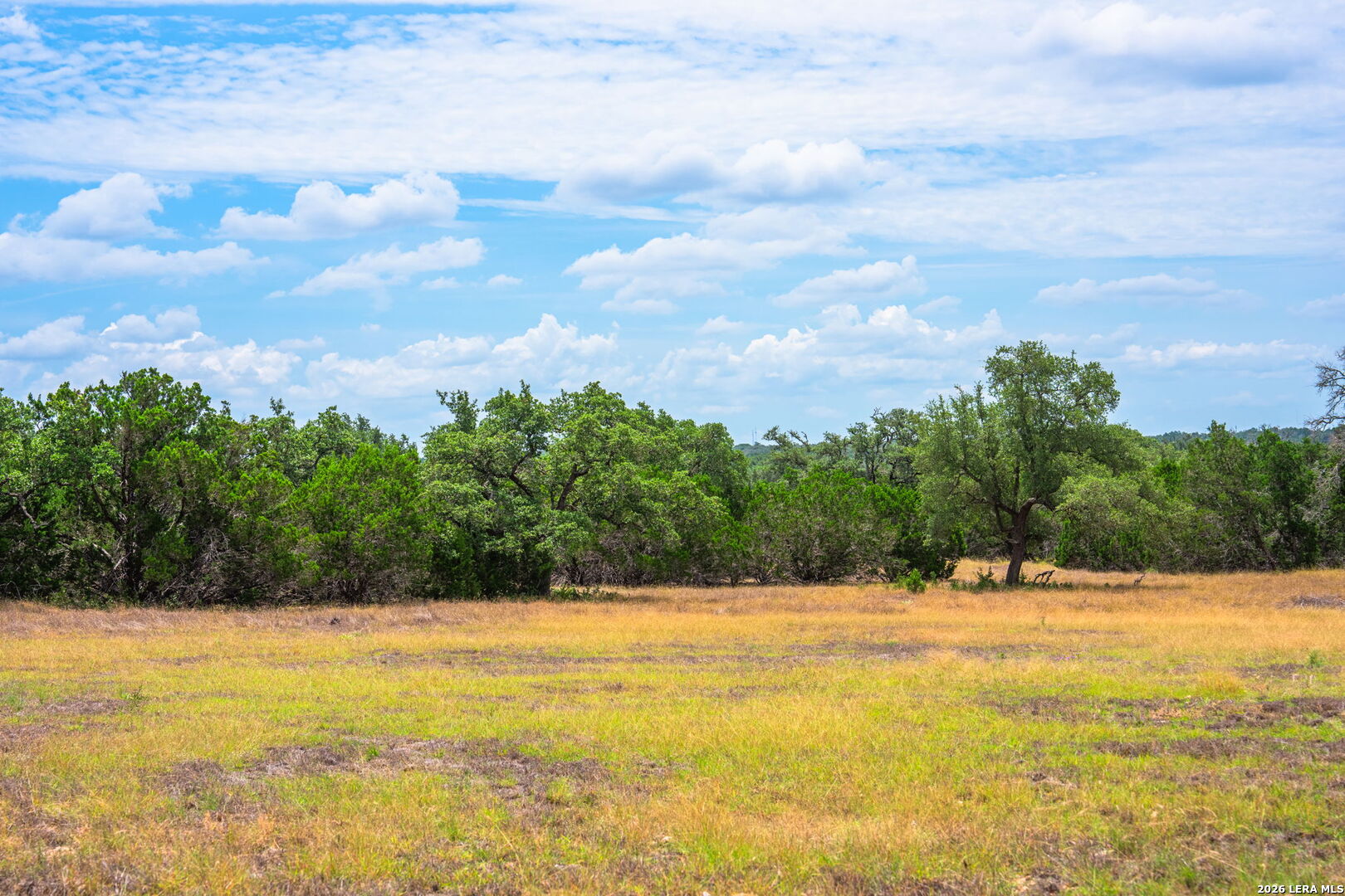 1468 Vanguard Ridge Road Kerrville TX 78028
