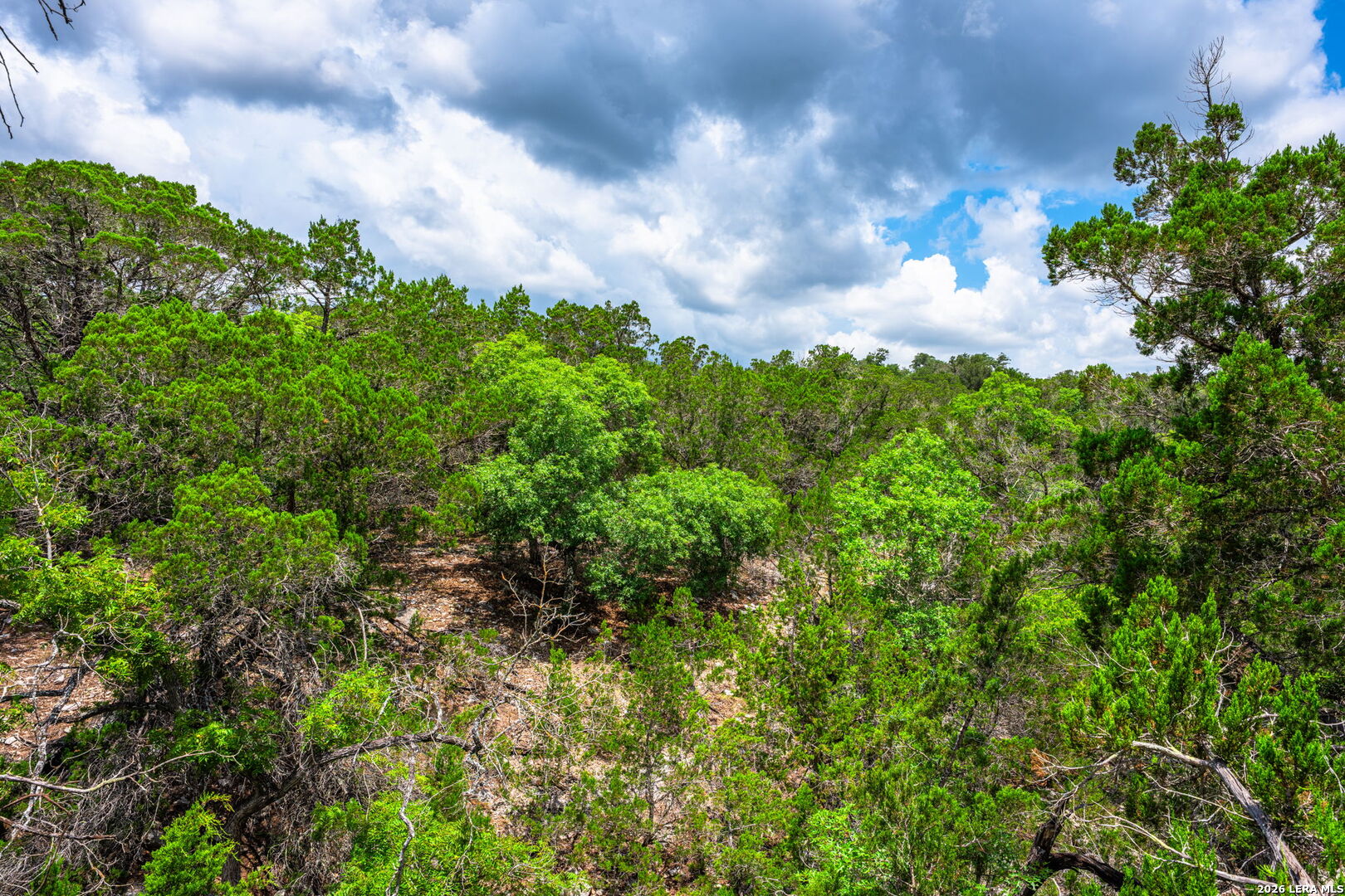 1468 Vanguard Ridge Road Kerrville TX 78028