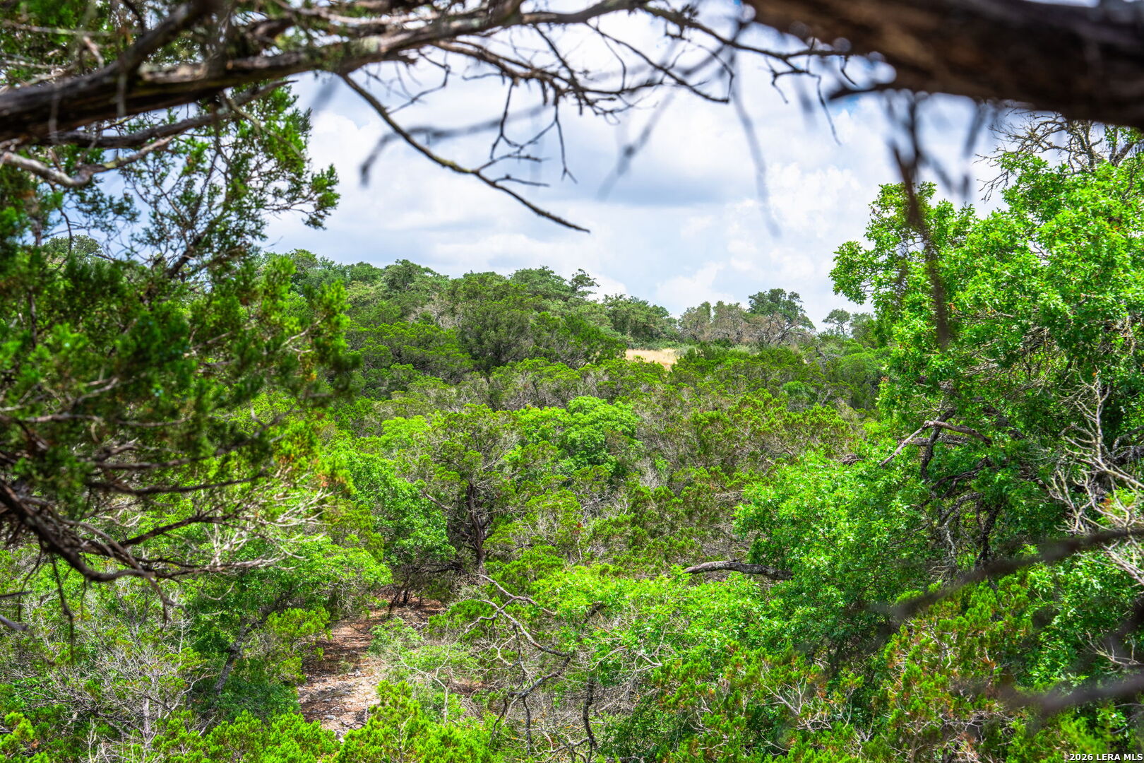1468 Vanguard Ridge Road Kerrville TX 78028