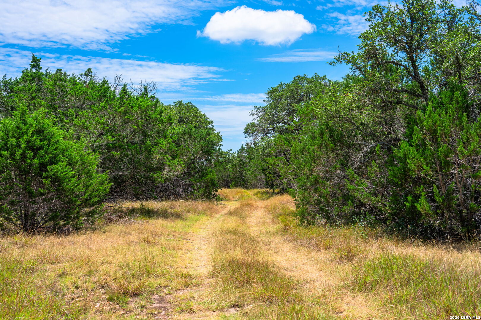 1468 Vanguard Ridge Road Kerrville TX 78028