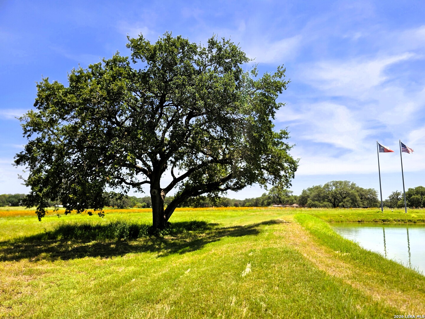 799 County Road 6612 Devine TX 78016