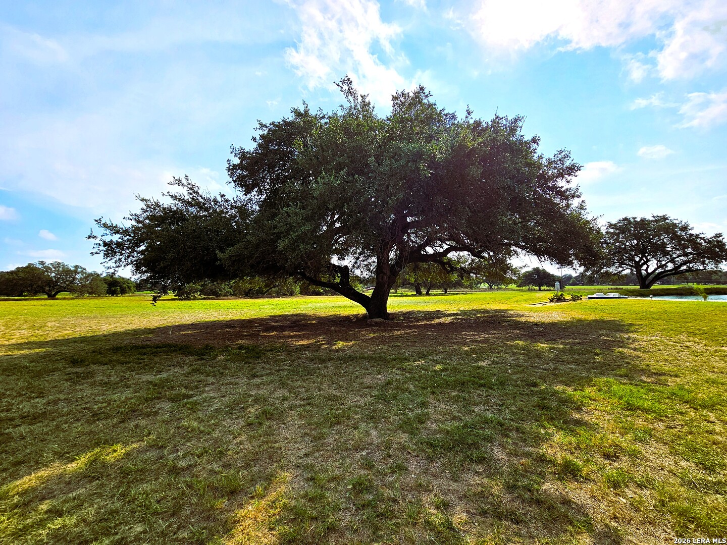 799 County Road 6612 Devine TX 78016