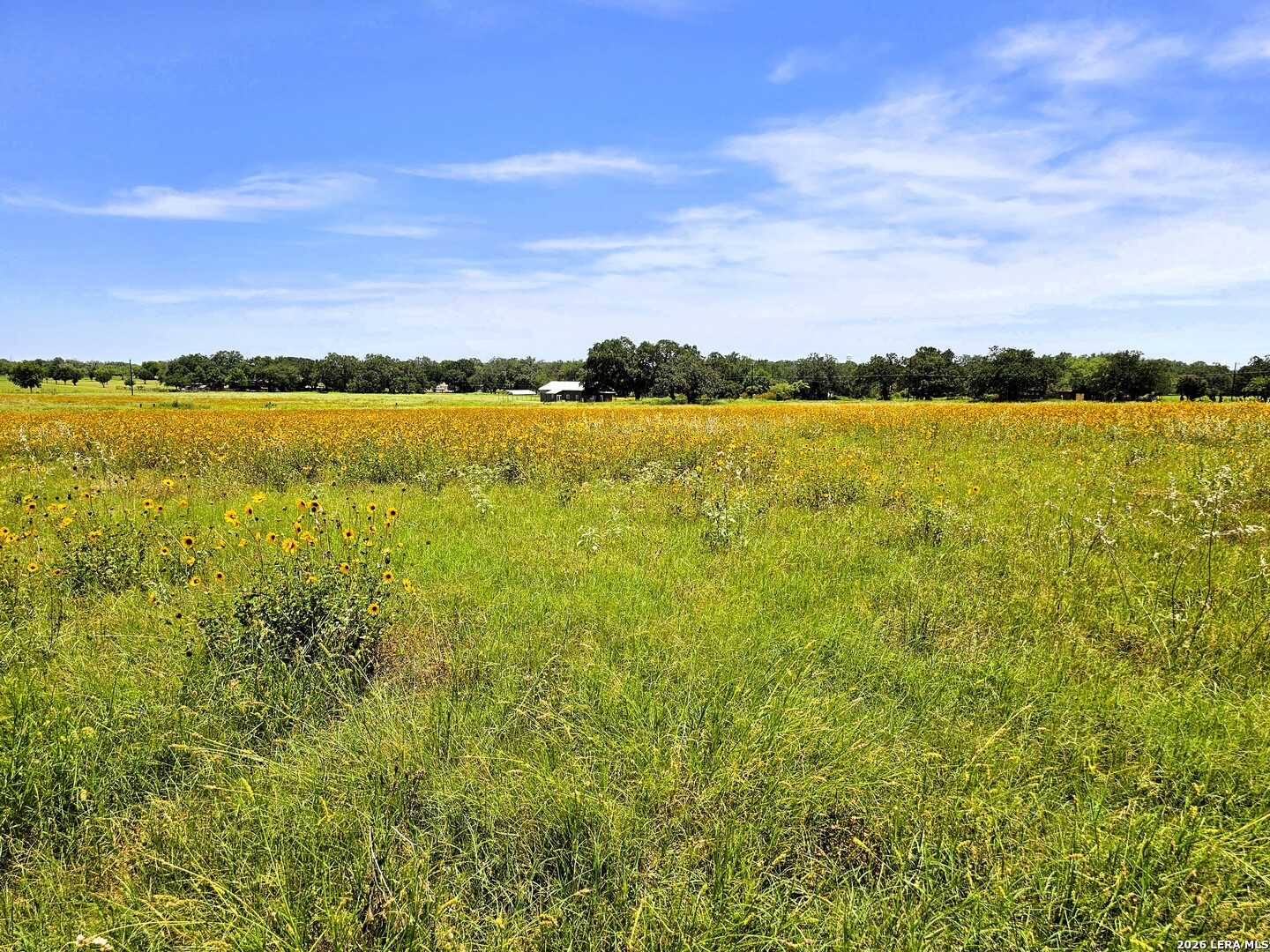 799 County Road 6612 Devine TX 78016
