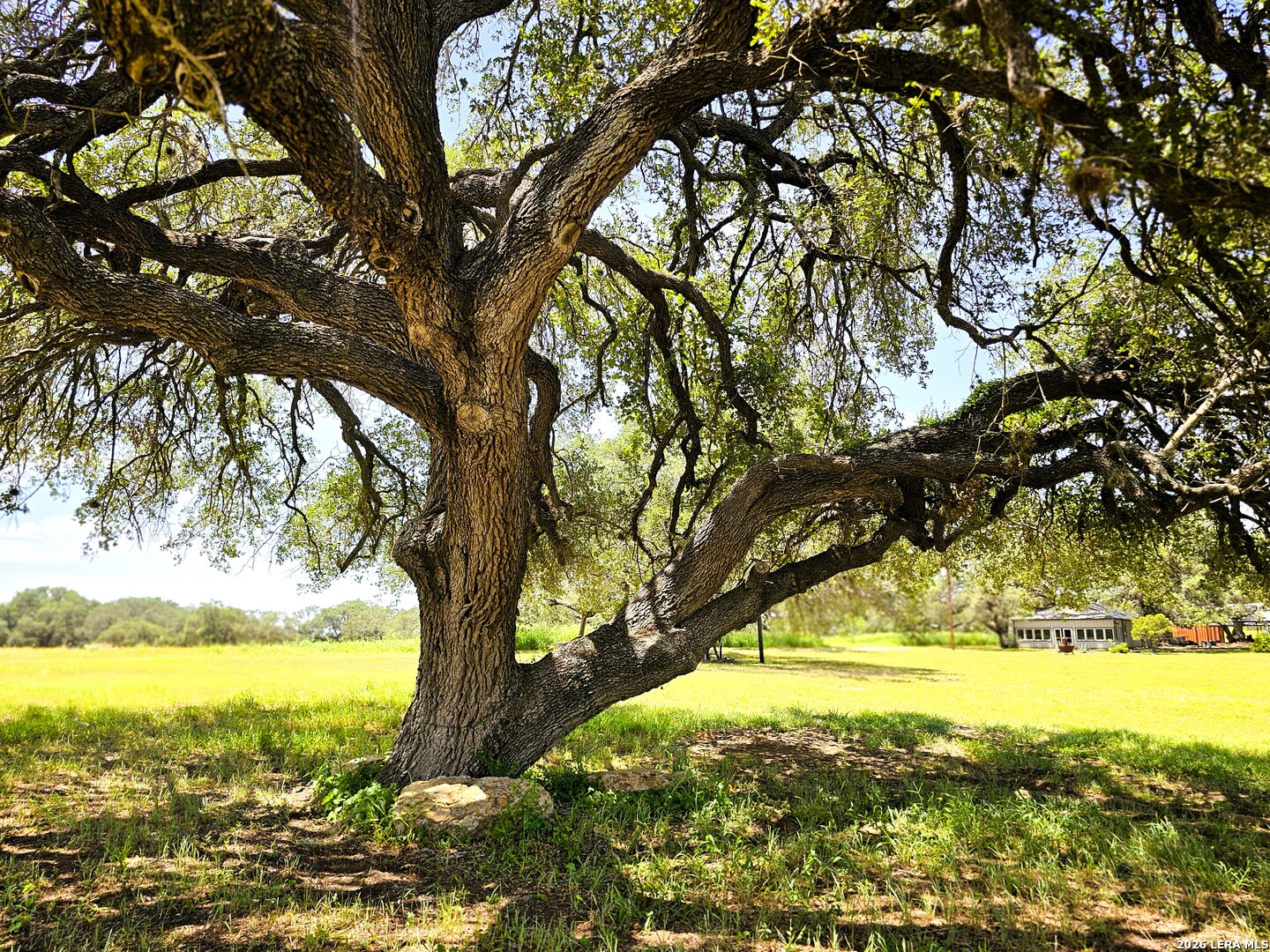 799 County Road 6612 Devine TX 78016