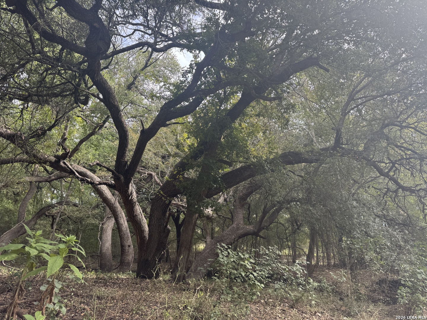 581 Eden Road Seguin TX 78155