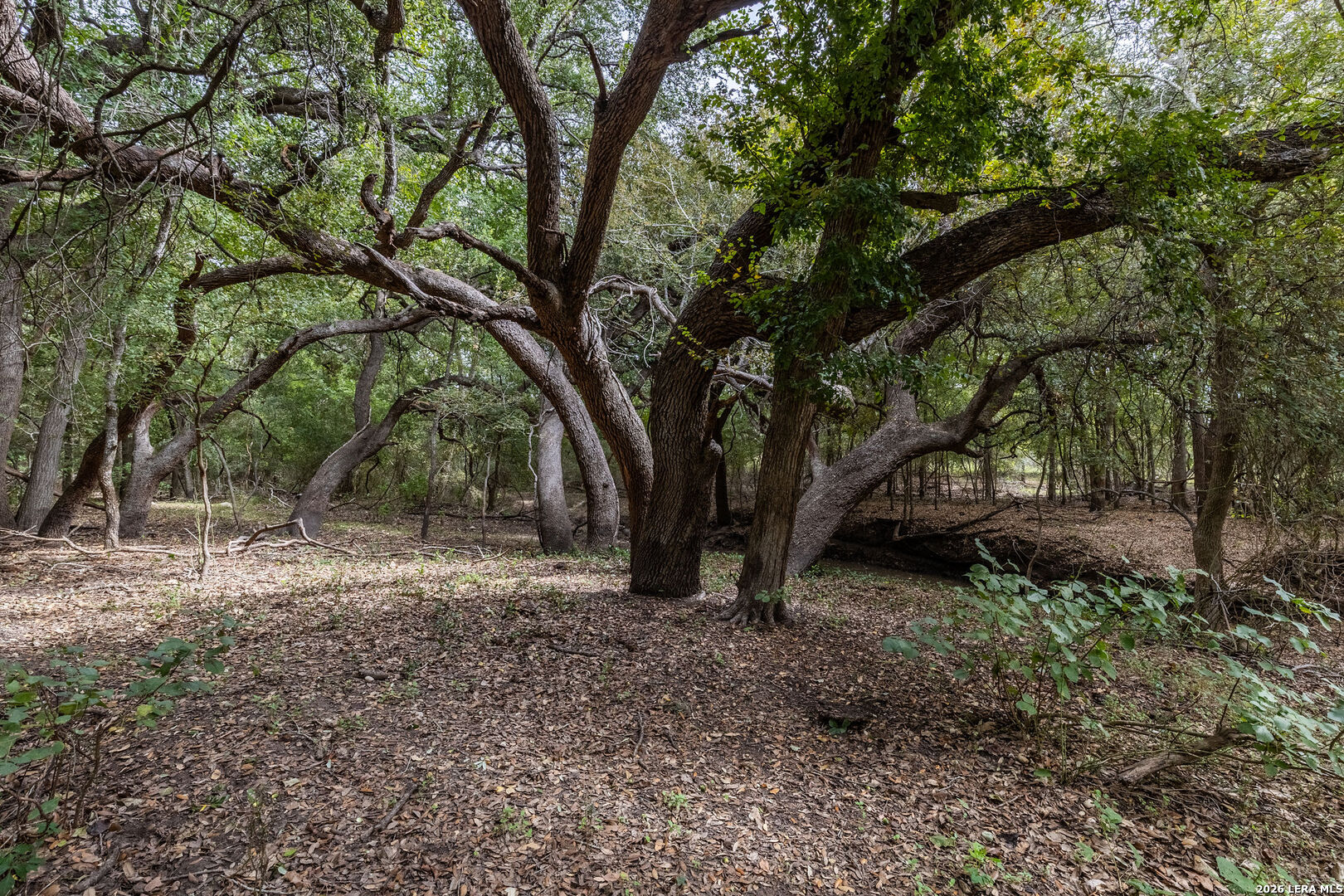 581 Eden Road Seguin TX 78155