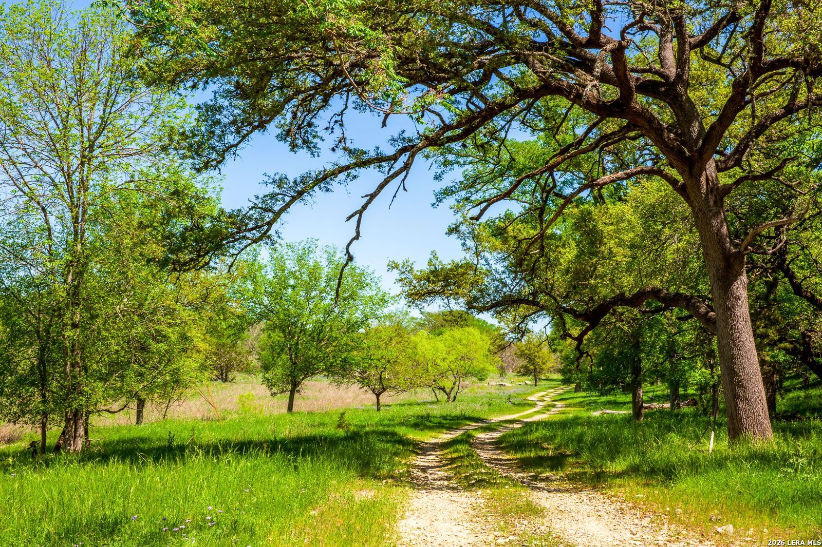 567 Bear Creek Road Kerrville TX 78028