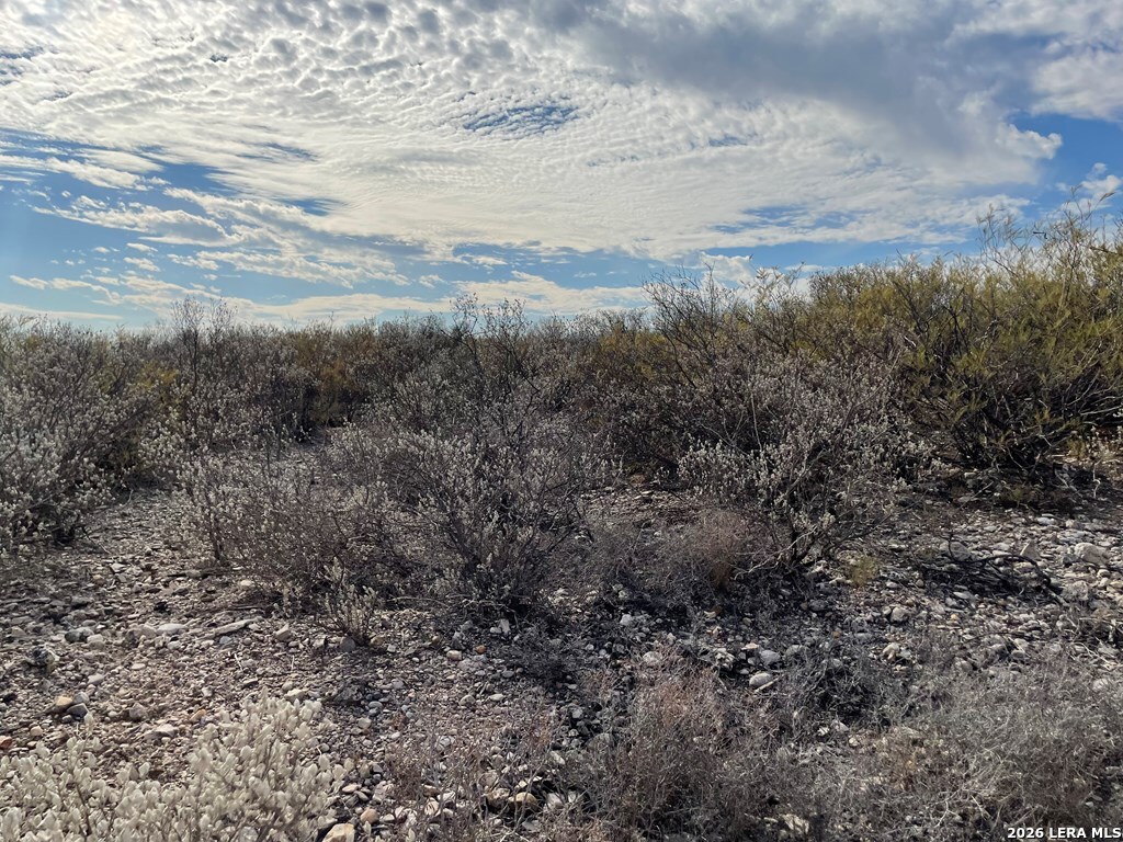 1292 Venado Grande Eagle Pass TX 78852