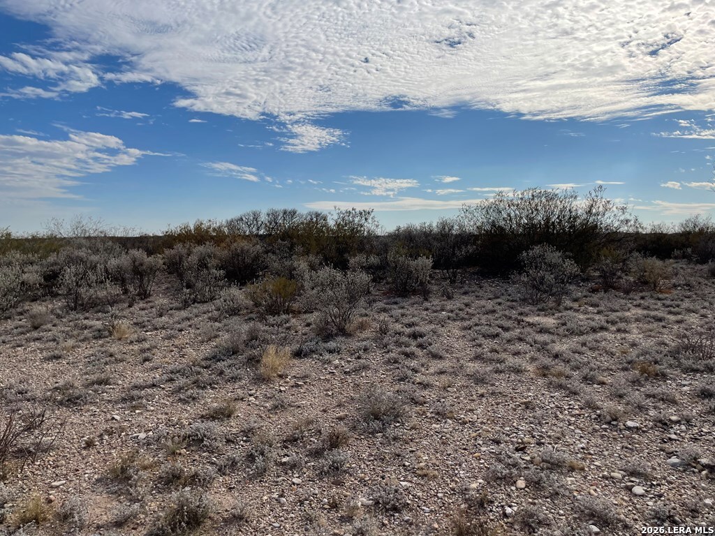1292 Venado Grande Eagle Pass TX 78852