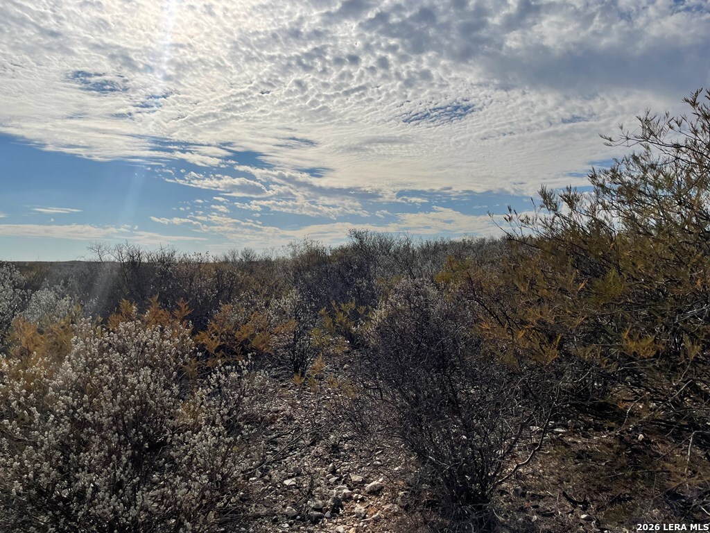 1292 Venado Grande Eagle Pass TX 78852