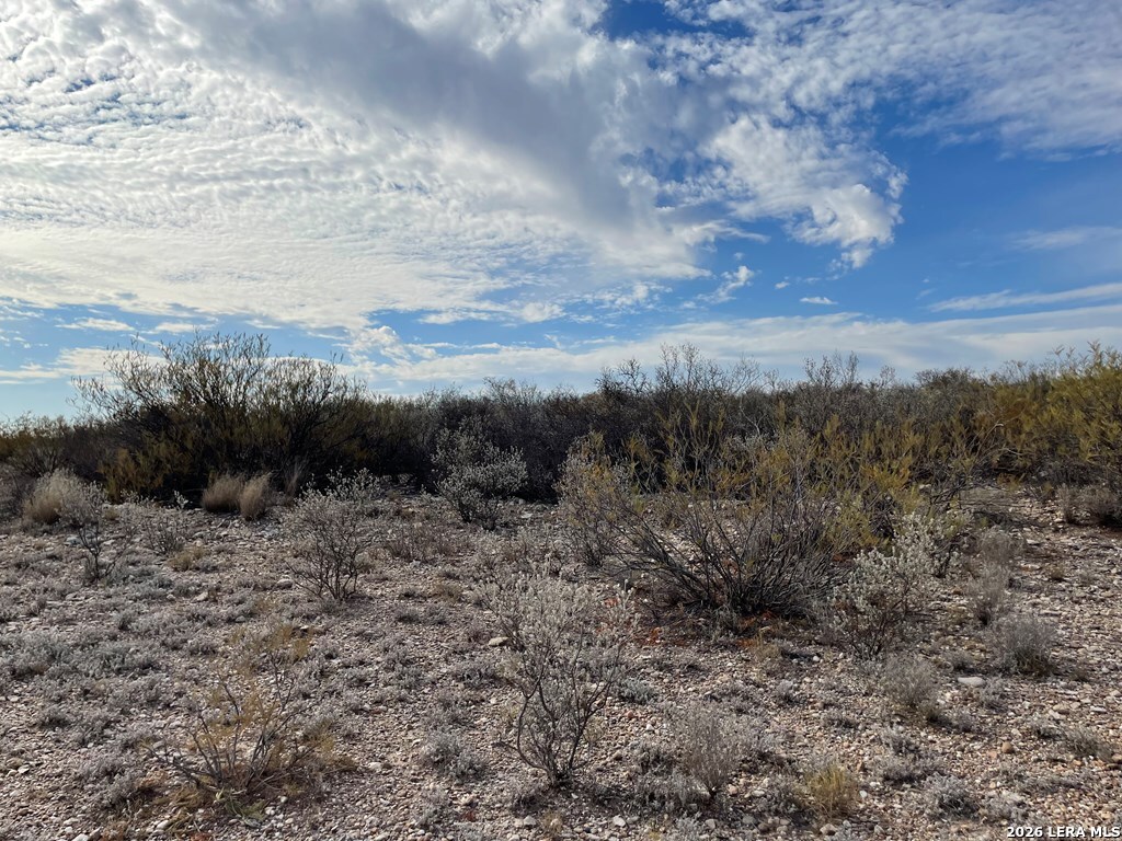 1292 Venado Grande Eagle Pass TX 78852