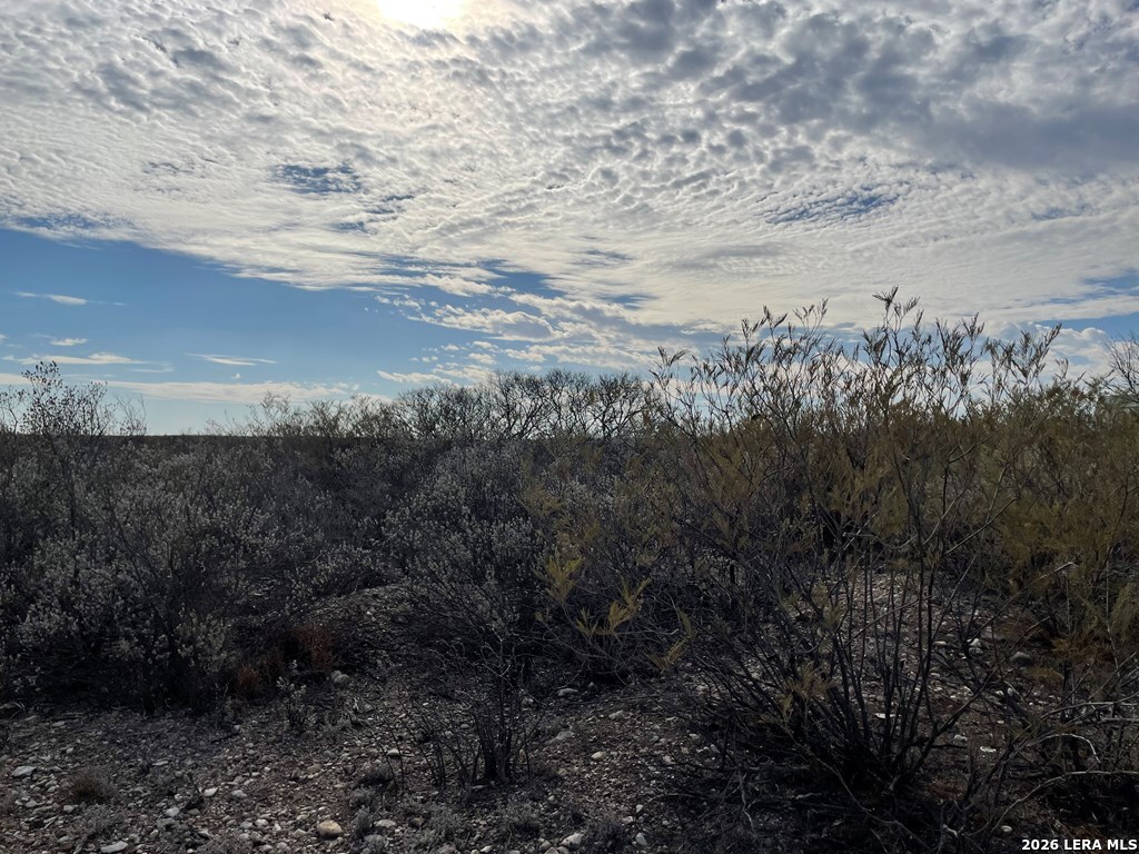 1292 Venado Grande Eagle Pass TX 78852