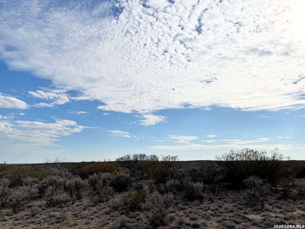 1292 Venado Grande Eagle Pass TX 78852