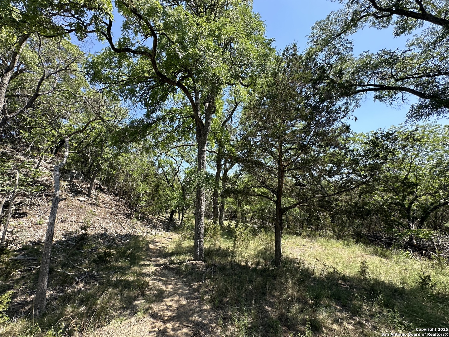 106 E Mari-b Drive Center Point TX 78010
